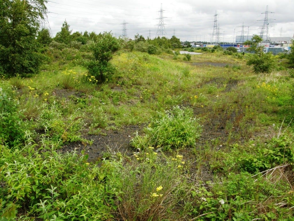 Oliver Road Lagoons