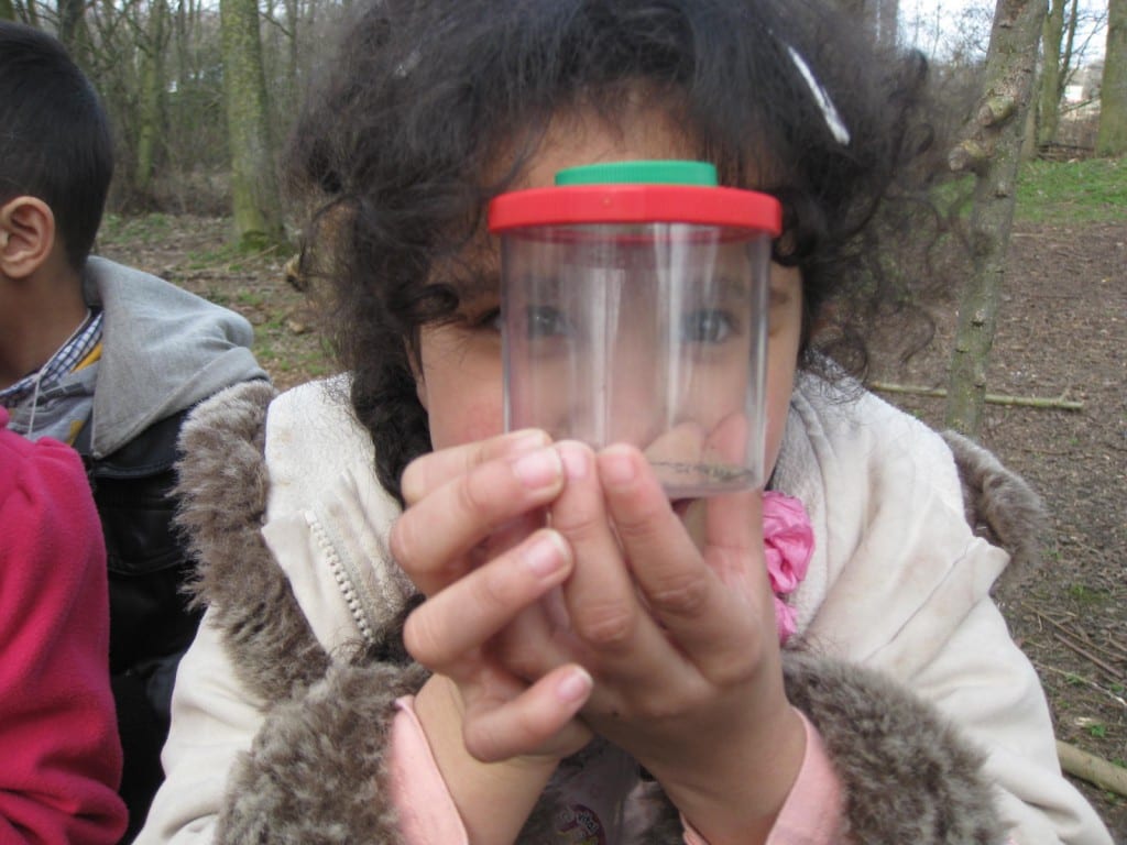 Children search for bugs and wildlife at Monkton community woodlands.
