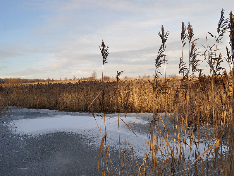 The frozen lake at Port Sunlight River Park in winter