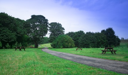 Countess of Chester Country Park