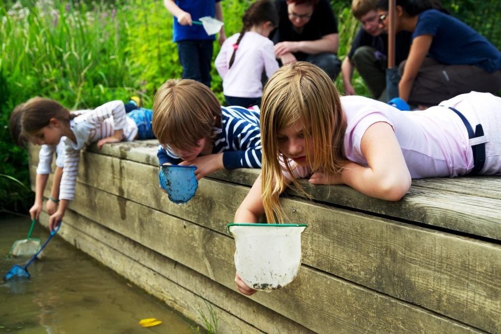 Children pond dipping at Greenwich Ecology Park