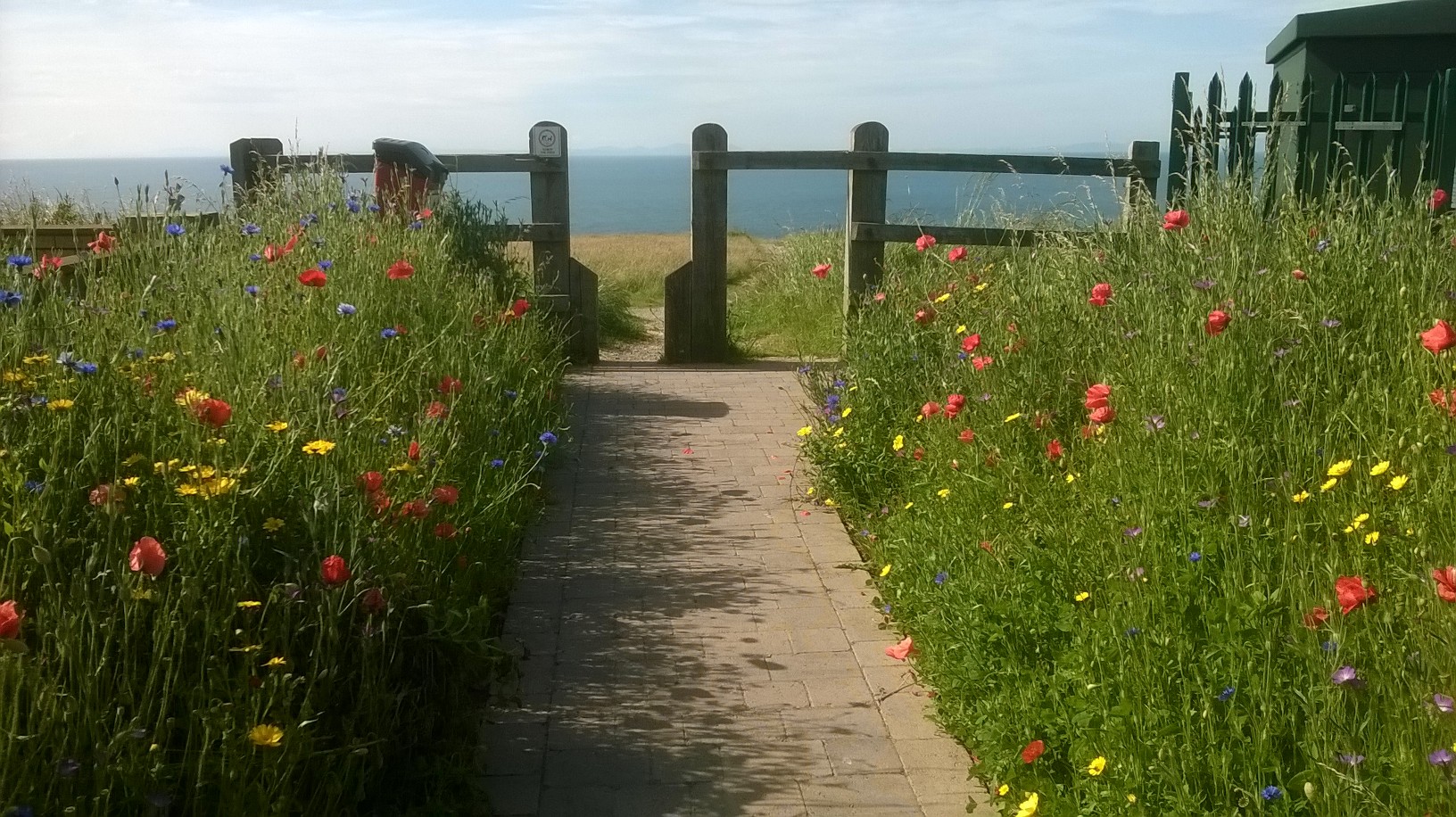 Volunteers pitch in to transform gateway to the Colourful Coast