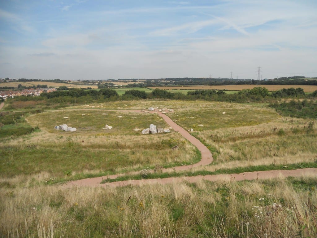 Landscape View