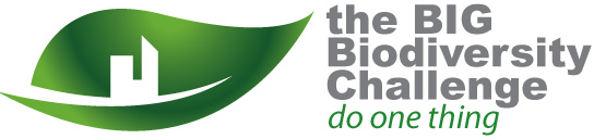 CIRIA Big Biodiversity Challenge
