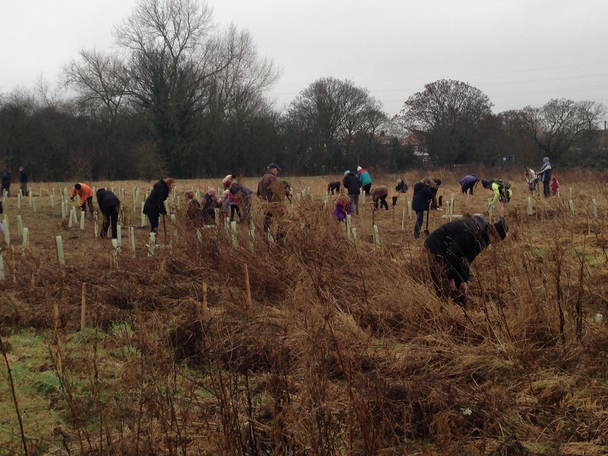 Tree planting at Countess of Chester Country Park
