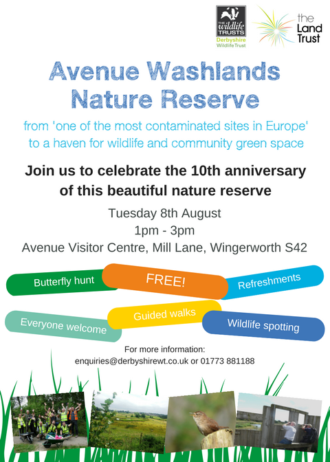 Avenue Washlands 10th anniversary event poster