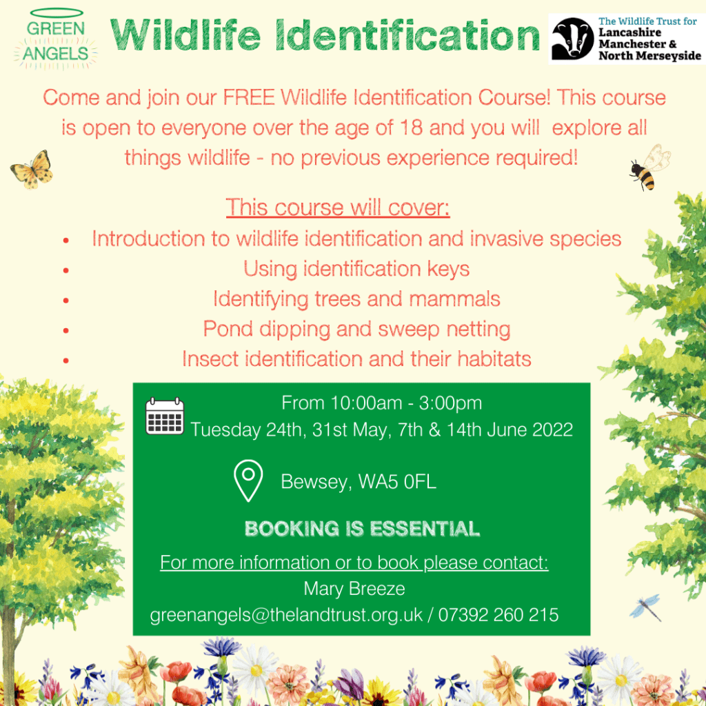 Wildlife Identification, Lancashire Wildlife Trust, Tuesday 24th, 31st May, 7th & 14th June